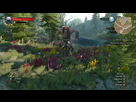 https://image.noelshack.com/fichiers/2015/22/1432753163-the-witcher-3-wild-hunt-20150525143952.jpg