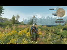 https://image.noelshack.com/fichiers/2015/22/1432753173-the-witcher-3-wild-hunt-20150525141730.jpg
