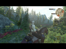 https://image.noelshack.com/fichiers/2015/22/1432753212-the-witcher-3-wild-hunt-20150525000537.jpg