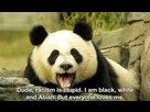 https://image.noelshack.com/fichiers/2015/22/1432771858-non-racist-bear-non-racist-bear-is-non-racist-7d920c-3281621.jpg