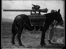 https://image.noelshack.com/fichiers/2015/22/1432813347-recoilless-ass1.jpg