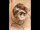 https://image.noelshack.com/fichiers/2015/22/1432826432-iphone-image-05-28-2015.jpg