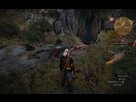 https://image.noelshack.com/fichiers/2015/22/1432940437-witcher3-2015-05-29-18-56-35-02.png