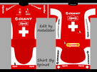 https://image.noelshack.com/fichiers/2015/22/1432985993-suisse.png