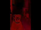 https://image.noelshack.com/fichiers/2015/22/1433100769-smile-jpg2.jpg