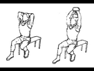 https://image.noelshack.com/fichiers/2015/23/1433115969-extension-triceps.jpg