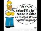 https://image.noelshack.com/fichiers/2015/23/1433179494-image-drole-simpsons.jpg
