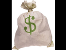 https://image.noelshack.com/fichiers/2015/23/1433316664-sac-dollar.jpg