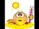 https://image.noelshack.com/fichiers/2015/23/1433517117-smileys-chaleur-img.gif