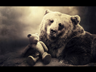 https://image.noelshack.com/fichiers/2015/23/1433629522-bear-with-me.jpg