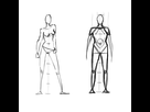 https://image.noelshack.com/fichiers/2015/23/1433680640-anatomy4.png
