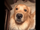https://image.noelshack.com/fichiers/2015/24/1433768971-tumblr-n9wx34ufaz1sn75h6o1-400.gif