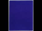 https://image.noelshack.com/fichiers/2015/24/1433797422-yves-klein-monochrome-bleu-ikb3.jpeg