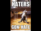 https://www.noelshack.com/2015-25-1434552695-haters-gonna-hate-cat.jpg