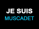 https://image.noelshack.com/fichiers/2015/25/1434796662-je-suis-lorient56.jpg