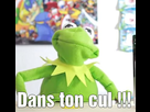 https://image.noelshack.com/fichiers/2015/25/1434799483-kermit-3.jpg