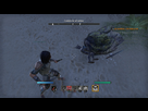 https://image.noelshack.com/fichiers/2015/26/1435054167-the-elder-scrolls-online-tamriel-unlimited-20150622174117.jpg