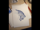 https://image.noelshack.com/fichiers/2015/26/1435166310-dessin-main-bleu.jpg