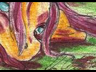 https://image.noelshack.com/fichiers/2015/26/1435367508-flutterfoutre-www-imagesplitter-net-1-1.png