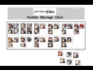 https://image.noelshack.com/fichiers/2015/27/1435763108-hoshido.png