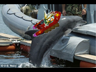 https://image.noelshack.com/fichiers/2015/27/1436111260-cloud-dans-le-buggy-sautant-avec-le-dauphin-sur-le-cargo.png