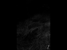 https://image.noelshack.com/fichiers/2015/27/1436128522-aup-3316.jpg