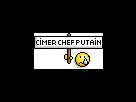 https://image.noelshack.com/fichiers/2015/28/1436291420-cimer-chef-putain.png