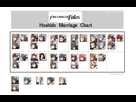https://image.noelshack.com/fichiers/2015/28/1436408195-hoshido-m1.png