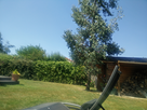 https://image.noelshack.com/fichiers/2015/28/1436447875-img-20150709-151356.jpg