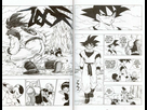 https://image.noelshack.com/fichiers/2015/28/1436461170-dragon-ball-tome-26-46.jpg