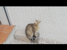 https://image.noelshack.com/fichiers/2015/28/1436465643-img-20150514-191131.jpg