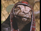 https://image.noelshack.com/fichiers/2015/28/1436475203-thulsa-doom-3.jpg
