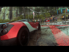 https://www.noelshack.com/2015-28-1436552534-driveclub-tm-20150707211044.jpg