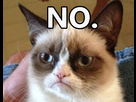 https://image.noelshack.com/fichiers/2015/28/1436597920-grumpy-cat-no-1.jpg