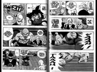 https://image.noelshack.com/fichiers/2015/28/1436638300-dragon-ball-tome-11-74.jpg