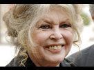 https://image.noelshack.com/fichiers/2015/28/1436733347-brigitte-bardot-photo-archives-eric-feferberg-afp-625019-460x306.jpg