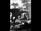 https://image.noelshack.com/fichiers/2015/29/1436840338-carnivores.jpg