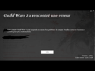 https://image.noelshack.com/fichiers/2015/29/1436868717-gw2-probleme.png