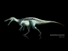 https://image.noelshack.com/fichiers/2015/29/1437217464-suchomimus.jpg