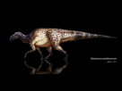 https://image.noelshack.com/fichiers/2015/29/1437241836-maiasaura.jpg