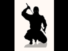 https://image.noelshack.com/fichiers/2015/29/1437255907-ninja-shadow.gif