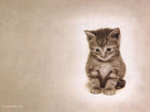 https://image.noelshack.com/fichiers/2015/29/1437312125-real-chaton-wall.jpg