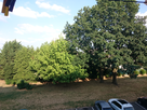 https://image.noelshack.com/fichiers/2015/29/1437325520-dsc-0022.jpg