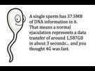 https://image.noelshack.com/fichiers/2015/30/1437424616-spermdata.jpg