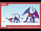 https://www.noelshack.com/2015-30-1437469049-ridley-evolution.png