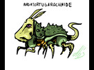 https://image.noelshack.com/fichiers/2015/30/1437487950-nasatortugarachnide-copie.png