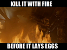 https://image.noelshack.com/fichiers/2015/30/1437583034-52c.png