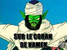 https://image.noelshack.com/fichiers/2015/31/1438186889-2596364403832.jpg