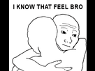 https://image.noelshack.com/fichiers/2015/31/1438220925-i-know-that-feel-bro.png