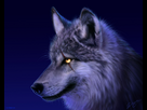 https://image.noelshack.com/minis/2015/31/1438268708-ixe95fvb.png